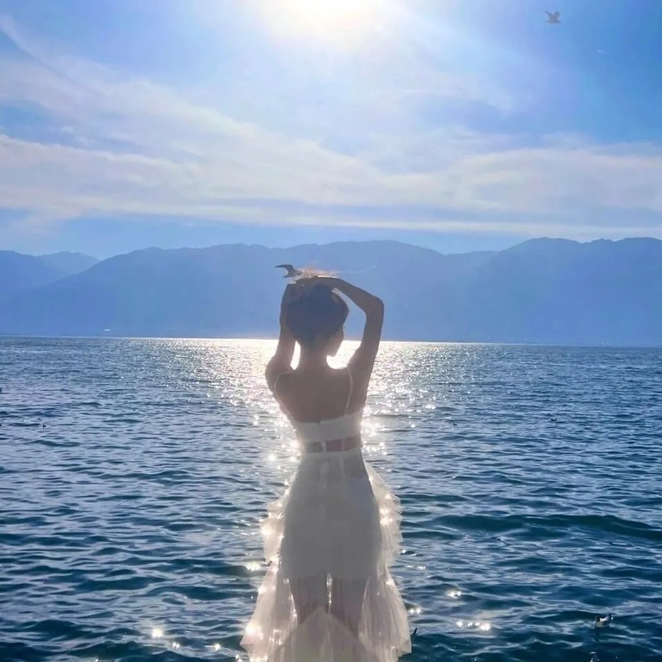 鲨海血危机